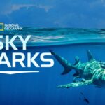 Sky Sharks