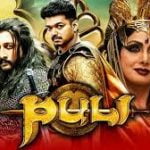 Puli