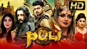 Puli